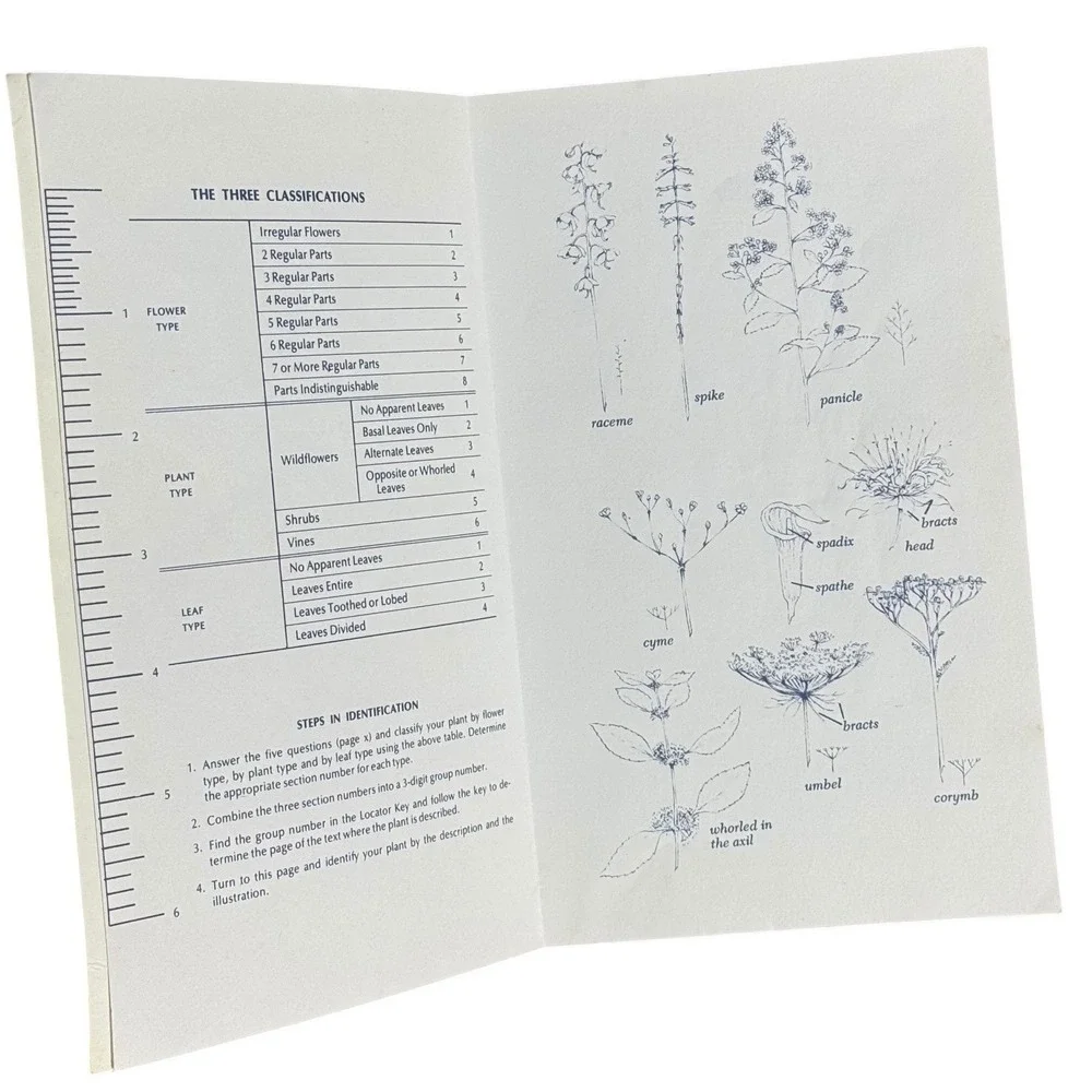 Newcomb's Wildflower Guide Nature Field Book